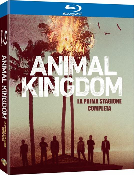 Animal Kingdom. Stagione 1. Serie TV ita (2 Blu-ray) di Christopher Chulack,John Wells,Larry Teng - Blu-ray