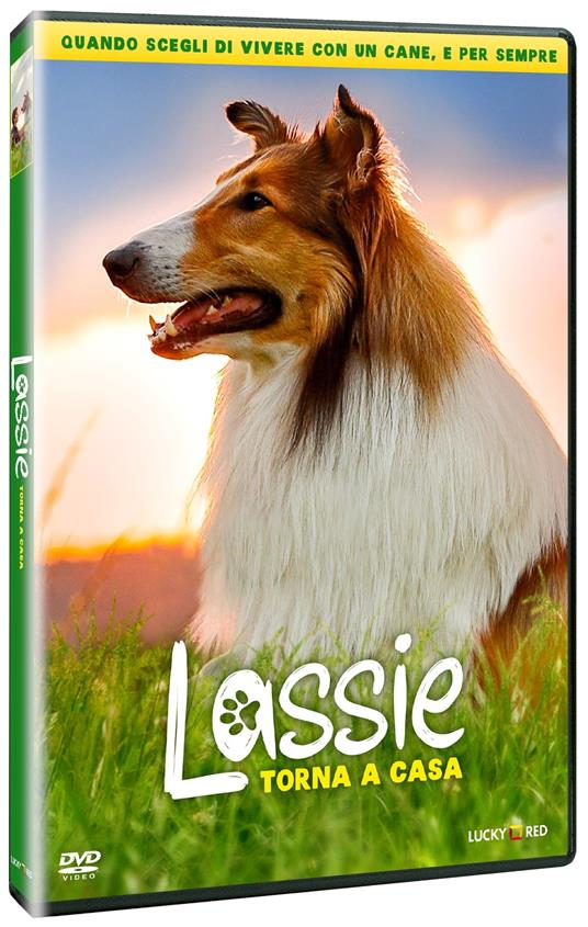Lassie torna a casa (DVD) di Hanno Olderdissen - DVD - 2