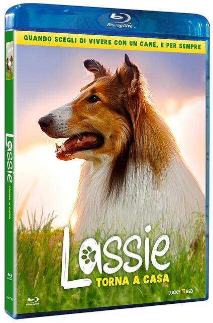 Lassie torna a casa (Blu-ray) di Hanno Olderdissen - Blu-ray