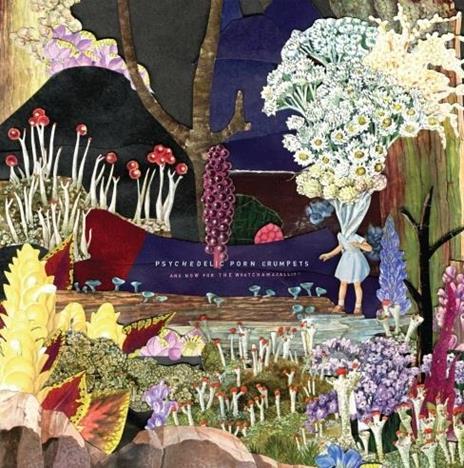 And Now for the Whatchamacallit - CD Audio di Psychedelic Porn Crumpets