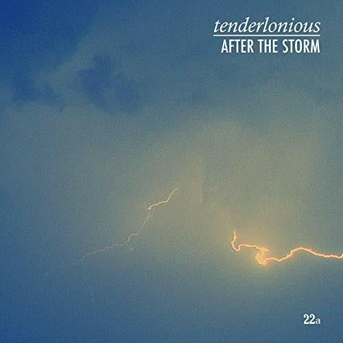 After the Storm - Vinile LP di Tenderlonious