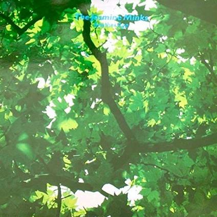 Another Age - Vinile LP di Jasmine Minks