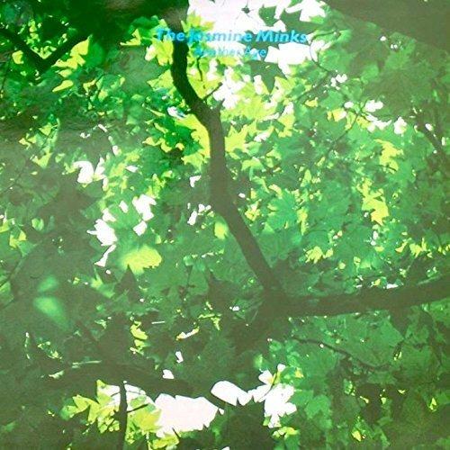 Another Age - Vinile LP di Jasmine Minks