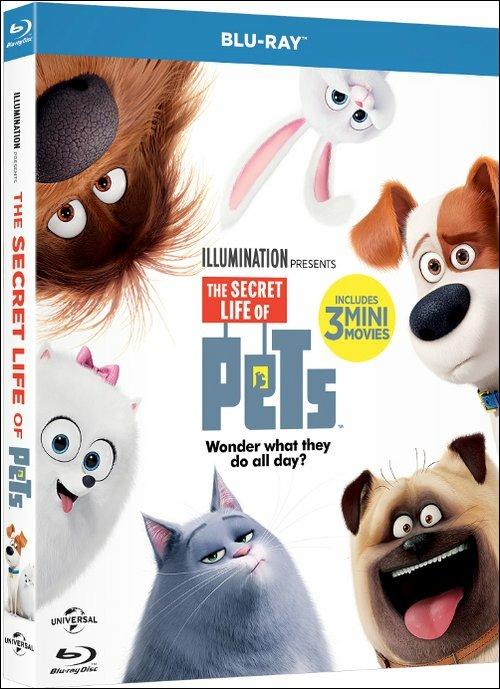 Pets. Vita da animali di Chris Renaud,Yarrow Cheney - Blu-ray