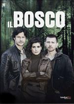 Il bosco. Stagione 1 (2 DVD)