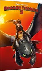 Dragon Trainer 2 (DVD)