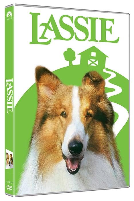 Isola dei Collezionisti