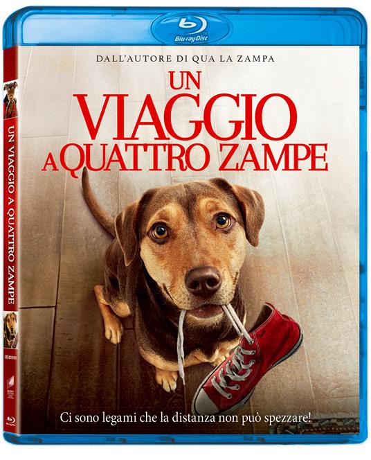 Un viaggio a quattro zampe (Blu-ray) di Charles Martin Smith - Blu-ray