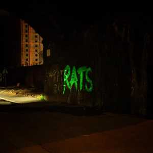 CD Rule The World Rats