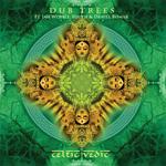 Celtic Vedic