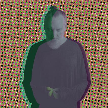 Beauty In Your Wake Acoustic - Vinile LP di Fink