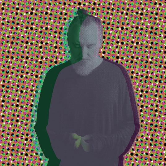 Beauty In Your Wake Acoustic - Vinile LP di Fink