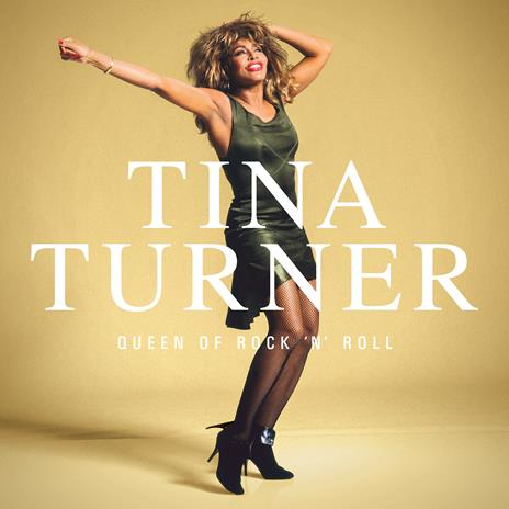 Queen of Rock n’ Roll (5 LP Edition) - Vinile LP di Tina Turner