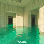 Tunnel (Vinile Trasparente Naturale)