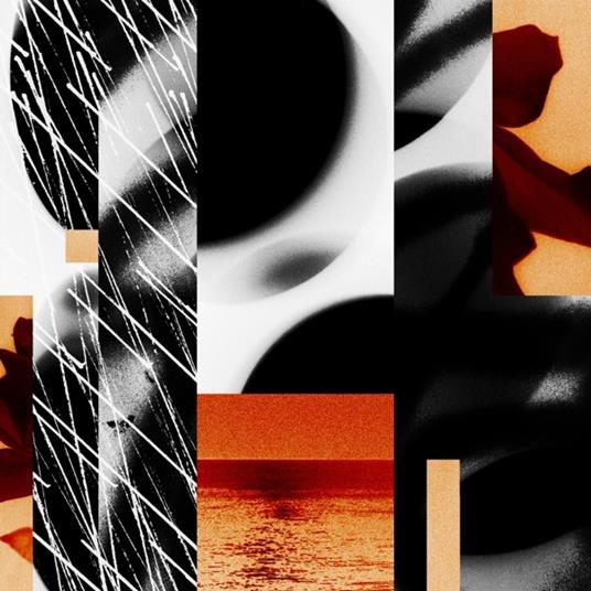 Ephemera - Vinile LP di Wen