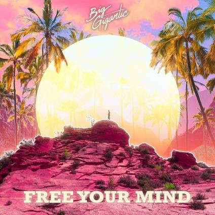 Free Your Mind Big Gigantic - CD Audio di Big Gigantic