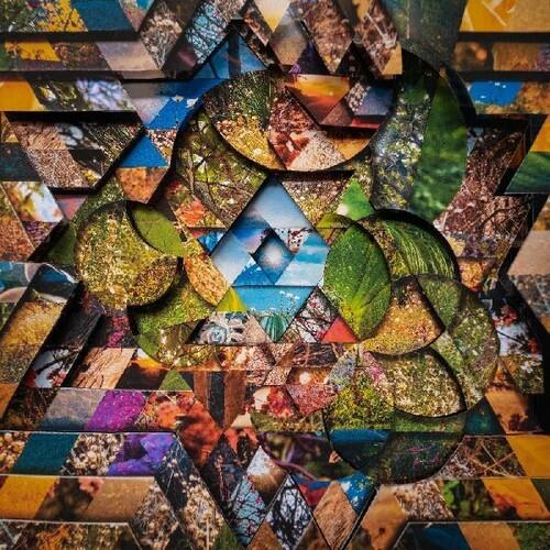 Les Jardins Mystiques Vol.1 - Vinile LP di Miguel Atwood-Ferguson