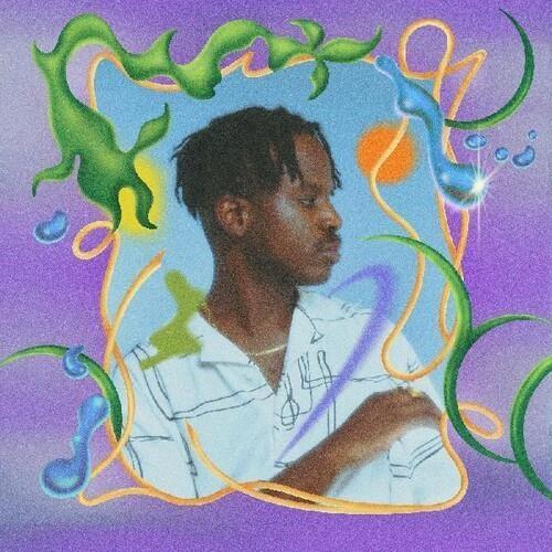 Shield - Vinile LP di Salute