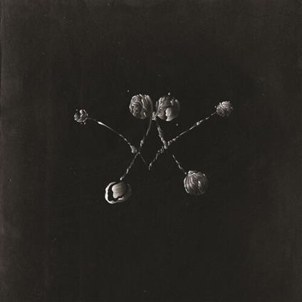 Nowhere Now - CD Audio di Waterstrider