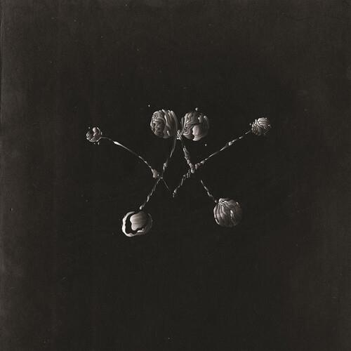 Nowhere Now - CD Audio di Waterstrider