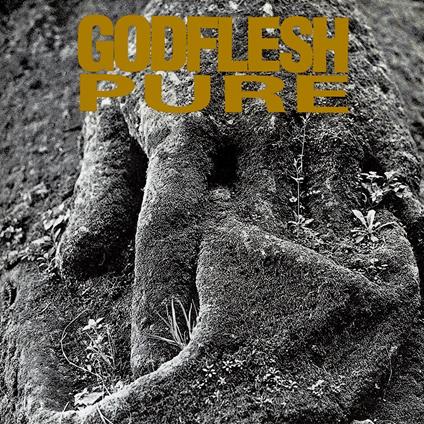 Pure - Vinile LP di Godflesh