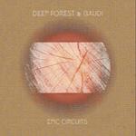 Epic Circuits