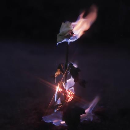 Momentary Glow - CD Audio di Farwarmth
