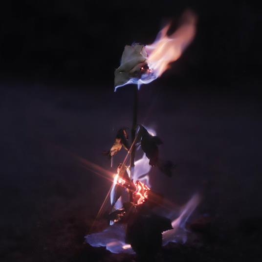 Momentary Glow - CD Audio di Farwarmth