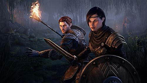 The Elder Scrolls Online Coll. Blackwood - PS4 - 2