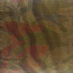 Acolytes - Vinile LP di Acolytes