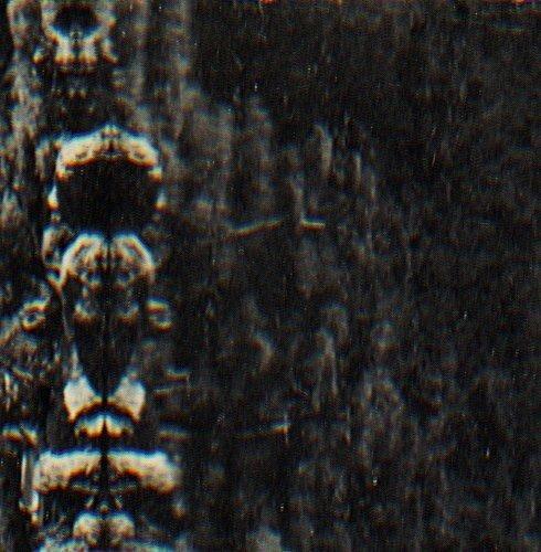 The Forest, the People and the Spirits - Vinile LP di O Morto