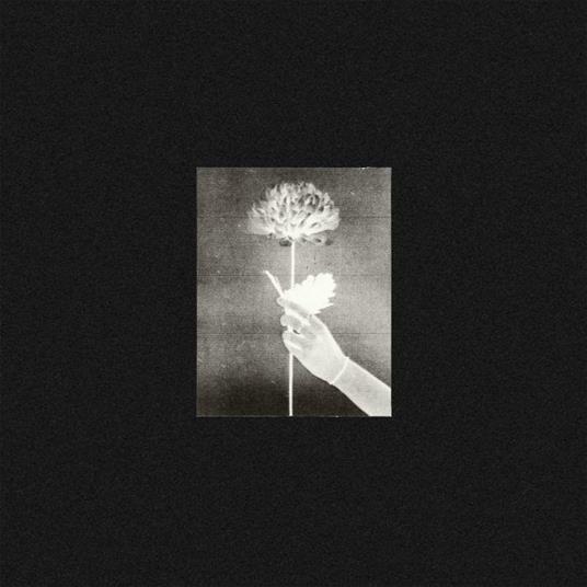Day by Day - CD Audio di White Flowers