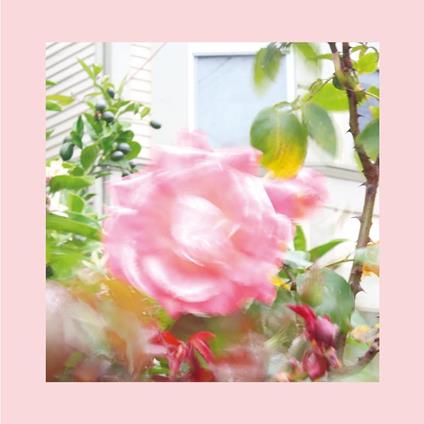 Summer at Land's End - Vinile LP di Reds Pinks and Purples