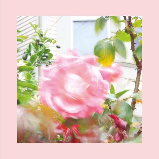 Summer at Land's End - Vinile LP di Reds Pinks and Purples