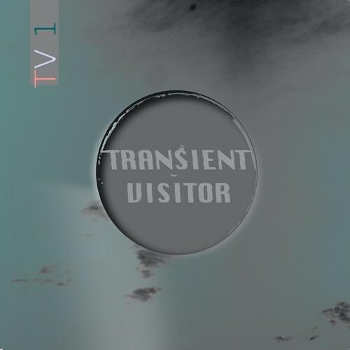 Tv1 - Vinile LP di Transient Visitor