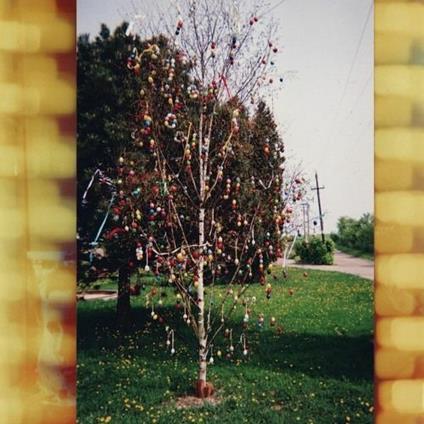 A Golden Brain - Vinile LP di Kraus