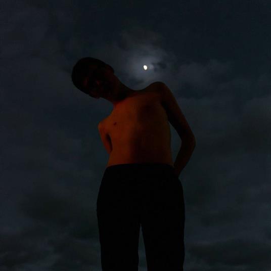 All I Have - Vinile LP di Lontalius