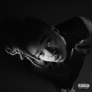 Grey Area - Vinile LP di Little Simz