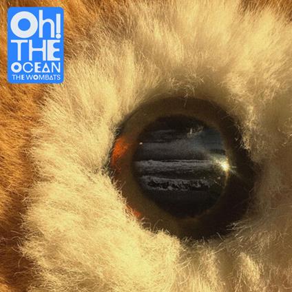 Oh! The Ocean - CD Audio di Wombats