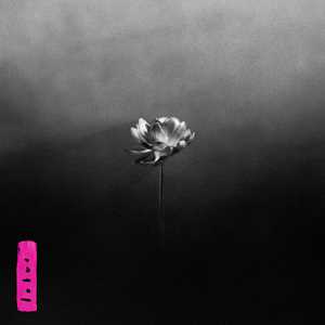 Vinile Lotus (Vinyl Pink) Little Simz