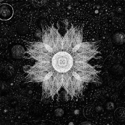 The Infernal Expanse - Vinile LP di Somnolent