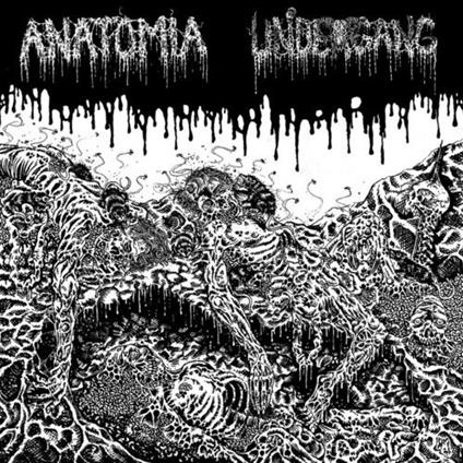 Split LP - Vinile LP di Anatomia,Undergang