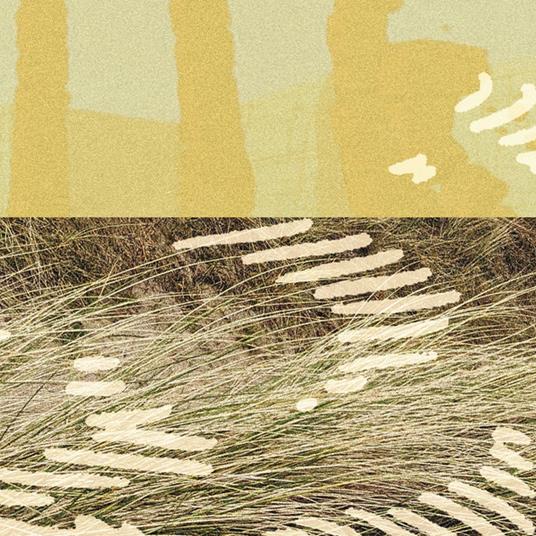 Terrapin Ep - Vinile LP di Parris