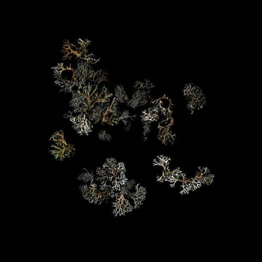 Return - Vinile LP di Deathcrash