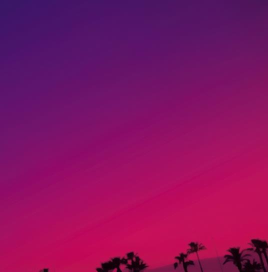 Sweet Williams - Vinile LP di Sweet Williams