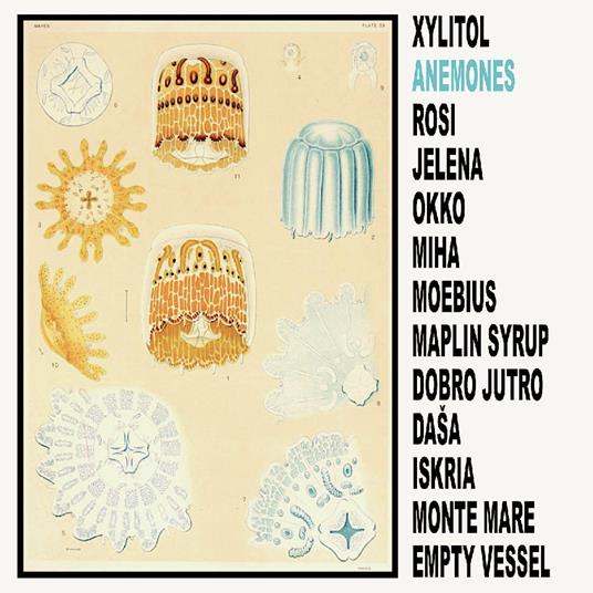 Anemones - Vinile LP di Xylitol