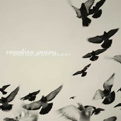 Rossz Csillag Alatt Szuletett - Vinile LP di Venetian Snares