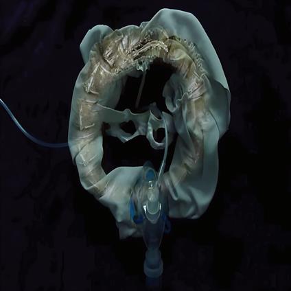 Initiatrix - Vinile LP di Ship Sket