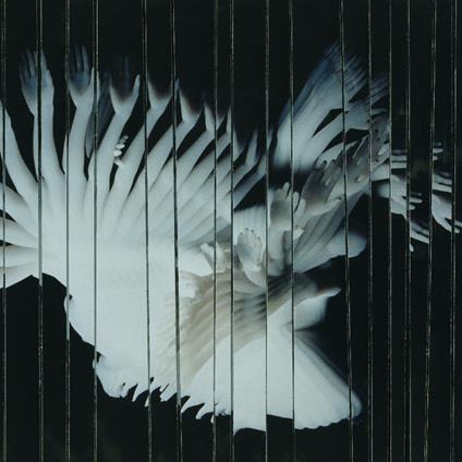 Endlessly - Vinile LP di Scaler
