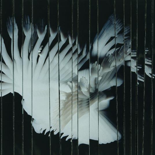 Endlessly - Vinile LP di Scaler